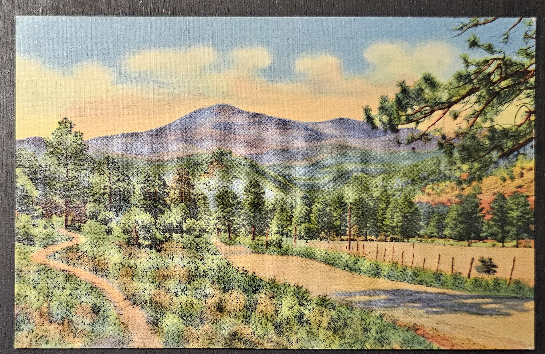 (image for) postcard USA - NM - New Mexico #0013